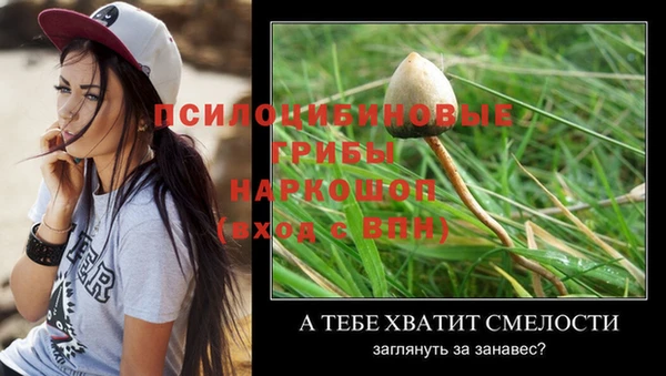 кокаин премиум Белокуриха