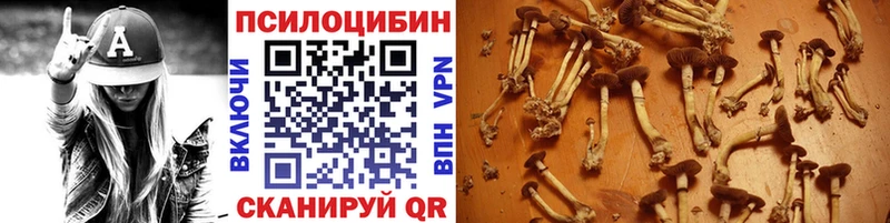 наркота  Крымск  Галлюциногенные грибы Magic Shrooms 